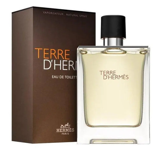 TERRE D‘ HERMES - PARFUM - OVP - 100ml